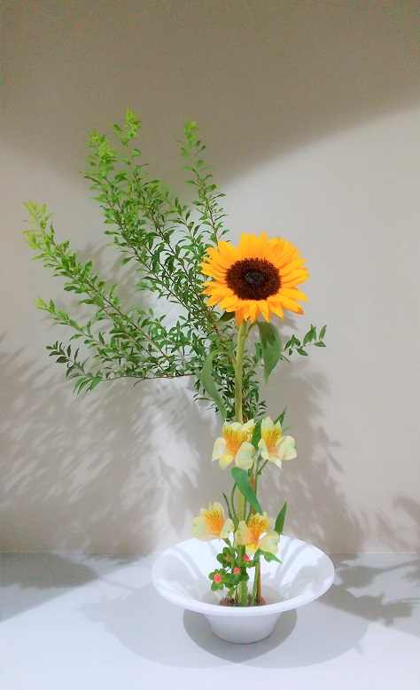 新着情報 東京 名古屋 福岡のサン プランナー